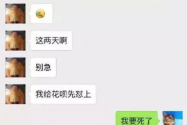 当阳企业清欠服务